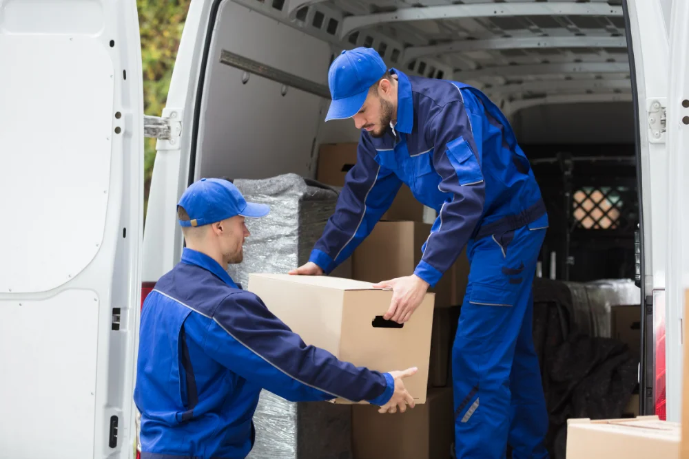Loading & Unloading Gisborne